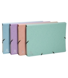 CARP.CLASIF.EXACOMPTA CART.A4+ 12 DP.SUR