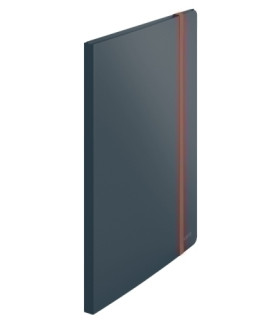 TARIF.LEITZ COSY PP A4 20 F. GRIS