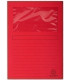 SUBCARP. EXAC. VENTANA 120g A4 ROJO P/25