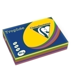 PAPEL COLOR A4 TROPHEE 80g 500h SURT.VIV