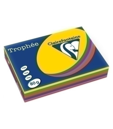 PAPEL COLOR A4 TROPHEE 80g 500h SURT.VIV