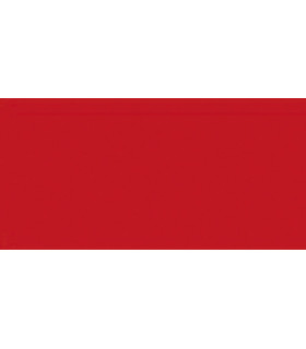 PAPEL COLOR A4 IRIS 80g 100h ROJO TOMATE