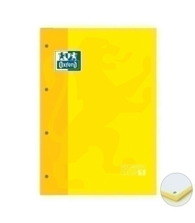 RECAMBIO OXF. COLOR 1 A4 80h 4 TAL. CD.5