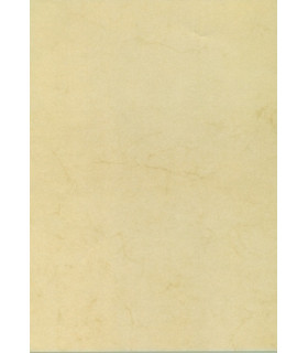PAPEL HABANA A4 APLI  90g 100h