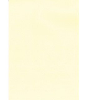 PAPEL VERJUR.A4 APLI 100g 100h CREMA