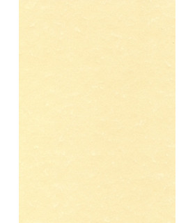 PAPEL PERGAMINO A4 APLI 95g 100h CHAMPAN