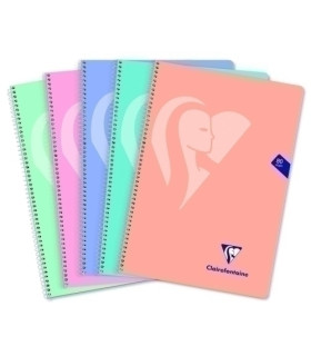BLOCK CLAIREFONTAINE Fº 80h 4x4 90g PAST