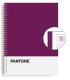BLOCK ESCOL.PANTONE A4 BASIC 80h 5x5 VL