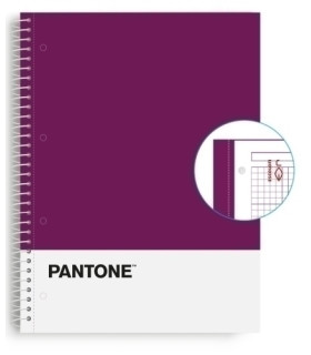 BLOCK ESCOL.PANTONE A4 BASIC 80h 5x5 VL