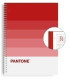 BLOCK ESCOL.PANTONE A4 SPEAKS 80h 5x5 PS
