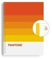 BLOCK ESCOL.PANTONE A4 SPEAKS 80h 5x5 WR