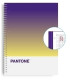 BLOCK ESCOL.PANTONE A4 TOGET. 80h 5x5 TM