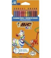 LAPICES COLOR BIC EVOL.STRIPES est.12