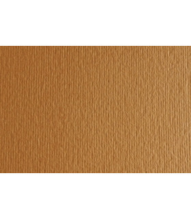 CARTULINA 50x70 FABRI. 220g LR AVANA P/2