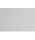 CARTULINA 50x70 FABRI. 220g LR BIANC P/2