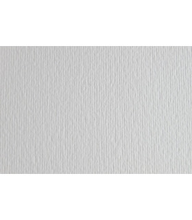 CARTULINA 50x70 FABRI. 220g LR BIANC P/2