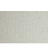 CARTULINA 50x70 FABRI. 220g LR BRINA P/2