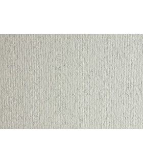 CARTULINA 50x70 FABRI. 220g LR BRINA P/2