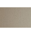 CARTULINA 50x70 FABRI. 220g LR CHINA P/2
