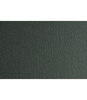 CARTULINA 50x70 FABRI. 220g LR FERRO P/2
