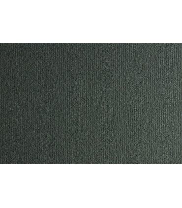CARTULINA 50x70 FABRI. 220g LR FERRO P/2