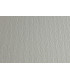 CARTULINA 50x70 FABRI. 220g LR PERLA P/2