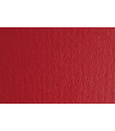 CARTULINA 50x70 FABRI. 220g LR ROSSO P/2