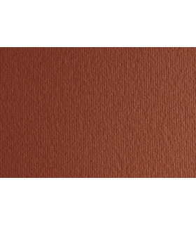 CARTULINA 50x70 FABRI. 220g LR TERRA BRU