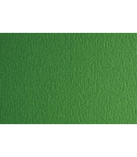 CARTULINA 50x70 FABRI. 220g LR VERDE P/2
