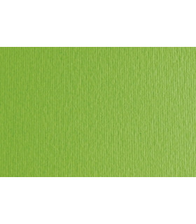 CARTULINA 50x70 FABRI. 220g LR VERDE P/2