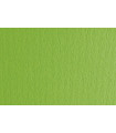 CARTULINA 50x70 FABRI. 220g LR VERDE P/2