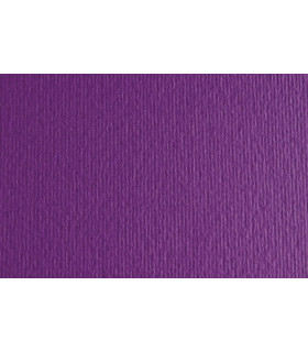 CARTULINA 50x70 FABRI. 220g LR VIOLA P/2
