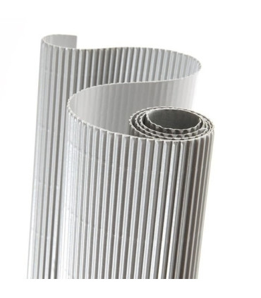 CARTON ONDUL.CANSON R.0,5x0,7 PLATA P/10