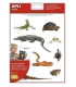GOMETS APLI (17632) REPTILES.Bl.2h