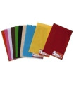 FIELTRO FIXO KIDS 170g 20x30 ROJO B/10