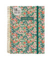AG.F. 18M ESPIRAL 2D/P E10 DAISY
