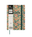 AG.F. 18M MARA D/P Y4 DAISY