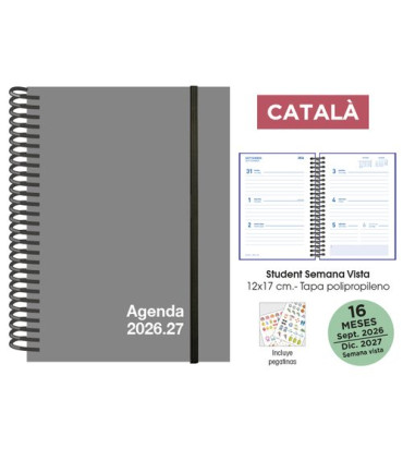 AG.SF.CAT. 16M STUDENT 120x170 S/V GRIS