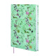 AG.F.CAT. DYNAMIC PORTO DESIGN Y10 D/P B
