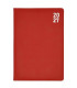 AG.DIDEX BOSTON t.DURA 170x240 D/P ROJO