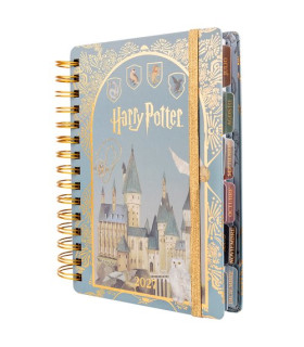 AG.MOOVING HARRY POTTER 140x200 D/P