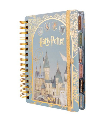 AG.MOOVING HARRY POTTER 140x200 D/P