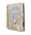AG.MOOVING HARRY POTTER 140x200 D/P