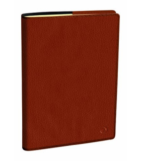 AG.QUO VADIS NOTE 27 210x270 S/V CAMELLO