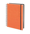 AG.ED. TUCSON t.FEX. 166x240 D/P NARANJA