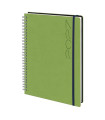 AG.ED. TUCSON t.FEX. 166x240 S/V VERDE