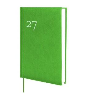 AG.F. DYNAMIC MILANO Y10 D/P VERDE
