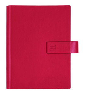 AG.F.CHIP SMART 500 ROJO