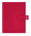 AG.F.CHIP SMART 500 ROJO