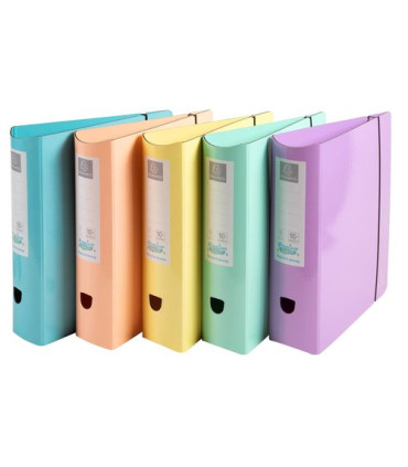 ARCHIVADOR EXAC. CARTON FR. A4 80 SURT.